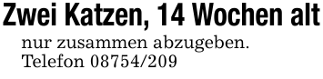Zwei Katzen, 14 Wochen altnur zusammen abzugeben.Telefon 08754/209
