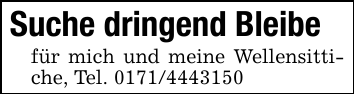 Suche dringend Bleibefür mich und meine Wellensittiche, Tel. 0171/4443150