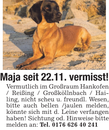 Maja seit 22.11. vermisst! Vermutlich im Großraum Hankofen / Reißing / Großköllnbach / Hailing, nicht scheu u. freundl. Wesen, bitte auch bellen /jaulen melden, könnte sich mit d. Leine verfangen haben! Sichtung od. Hinweise bitte melden an: Tel. 0176 626 40 241