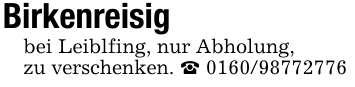 Birkenreisigbei Leiblfing, nur Abholung,zu verschenken. _ 0160/98772776