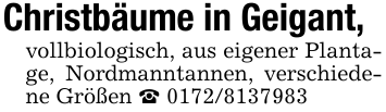 Christbäume in Geigant,vollbiologisch, aus eigener Plantage, Nordmanntannen, verschiedene Größen _ 0172/8137983