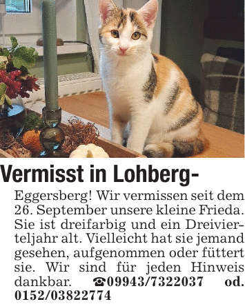 Vermisst in Lohberg- Eggersberg! Wir vermissen seit dem 26. September unsere kleine Frieda. Sie ist dreifarbig und ein Dreivierteljahr alt. Vielleicht hat sie jemand gesehen, aufgenommen oder füttert sie. Wir sind für jeden Hinweis dankbar. _09943/7322037 od. 0152/03822774