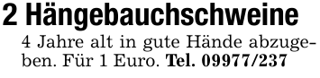 2 Hängebauchschweine4 Jahre alt in gute Hände abzugeben. Für 1 Euro. Tel. 09977/237