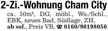 2-Zi.-Wohnung Cham Cityca. 50m², DG, möbl., Wo./Schl., EBK, neues Bad, Südlage, ZH, ab sof., Preis VB, _ 0160/90198050