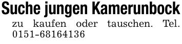 Suche jungen Kamerunbockzu kaufen oder tauschen. Tel. 0151-68164136