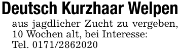 Deutsch Kurzhaar Welpenaus jagdlicher Zucht zu vergeben, 10 Wochen alt, bei Interesse:Tel. 0171/2862020