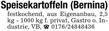 Speisekartoffeln (Bernina)festkochend, aus Eigenanbau, 2,5 kg - 1000 kg f. privat, Gastro o. Industrie, VB, _ 0176/24848436