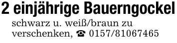 2 einjährige Bauerngockelschwarz u. weiß/braun zu verschenken, _ 0157/81067465