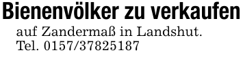 Bienenvölker zu verkaufen auf Zandermaß in Landshut. Tel. 0157/37825187