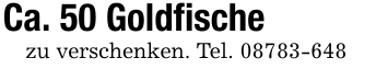 Ca. 50 Goldfischezu verschenken. Tel. 08783-648