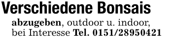 Verschiedene Bonsais abzugeben, outdoor u. indoor,bei Interesse Tel. 0151/28950421