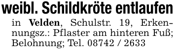 weibl. Schildkröte entlaufenin Velden, Schulstr. 19, Erkennungsz.: Pflaster am hinteren Fuß; Belohnung; Tel. 08742 / 2633
