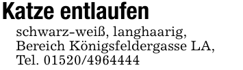 Katze entlaufenschwarz-weiß, langhaarig,Bereich Königsfeldergasse LA,Tel. 01520/4964444