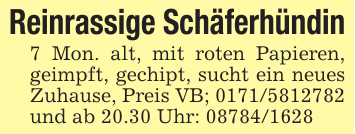Reinrassige Schäferhündin7 Mon. alt, mit roten Papieren, geimpft, gechipt, sucht ein neues Zuhause, Preis VB; 0171/5812782 und ab 20.30 Uhr: 08784/1628