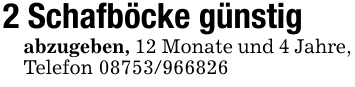 2 Schafböcke günstigabzugeben, 12 Monate und 4 Jahre, Telefon 08753/966826