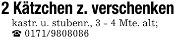 2 Kätzchen z. verschenkenkastr. u. stubenr., 3 - 4 Mte. alt;_ 0171/9808086