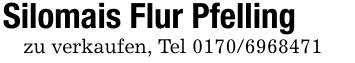 Silomais Flur Pfellingzu verkaufen, Tel 0170/6968471