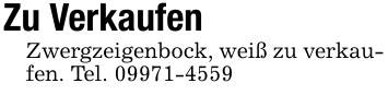 Zu Verkaufen Zwergzeigenbock, weiß zu verkaufen. Tel. 09971-4559