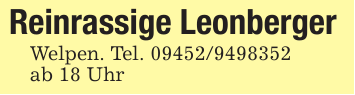 Reinrassige LeonbergerWelpen. Tel. 09452/9498352ab 18 Uhr