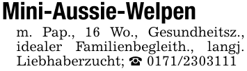 Mini-Aussie-Welpenm. Pap., 16 Wo., Gesundheitsz., idealer Familienbegleith., langj. Liebhaberzucht; _ 0171/2303111