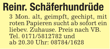 Reinr. Schäferhundrüde3 Mon. alt, geimpft, gechipt, mit roten Papieren sucht ab sofort ein liebev. Zuhause. Preis nach VB.Tel. 0171/5812782 undab 20.30 Uhr: 08784/1628