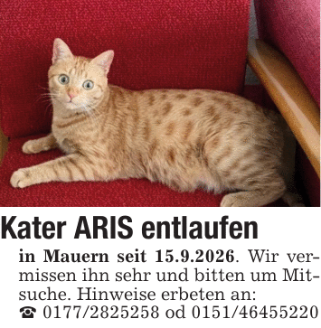 Kater ARIS entlaufenin Mauern seit 15.9.2026. Wir vermissen ihn sehr und bitten um Mitsuche. Hinweise erbeten an:_ 0177/2825258 od 0151/46455220