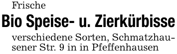 FrischeBio Speise- u. Zierkürbisseverschiedene Sorten, Schmatzhausener Str. 9 in in Pfeffenhausen